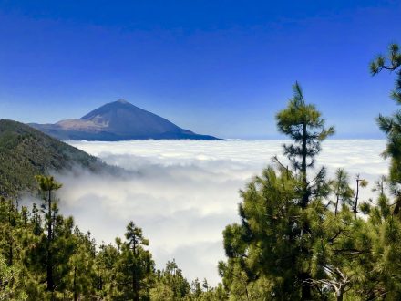 Pico Del Teide 3
